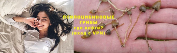 ECSTASY Зеленокумск