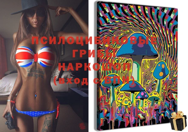 герыч Зерноград