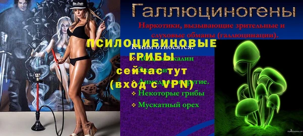 ECSTASY Зеленокумск