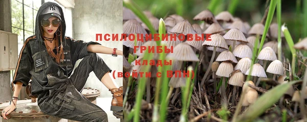 герыч Зерноград