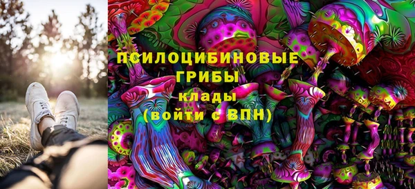 герыч Зерноград